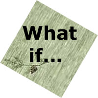 What if ...